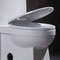 สุขภัณฑ์ชิ้นเดียวขนาดกะทัดรัดพร้อมช่องชะล้างด้านข้าง 1000 American Standard 1pc Toilet