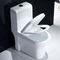 UPC 300 400mm Roughing ใน 1 ชิ้น Dual Flush Toilet Bowl Self Cleaning Glaze