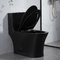 Iapmo สุขภัณฑ์ห้องน้ำ Matte Black 1 ชิ้น Dual Flush Toilet ยาว Siphonic Ceramic