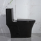 กาลักน้ำ Dual Flush Valve ห้องน้ำห้องสุขา Matte Black Csa Toilet With 10.5 Rough In Black