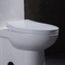 หยาบ 10 นิ้วในห้องน้ำ Ada Comfort Height สำหรับผู้พิการ Rv พร้อม Power Flush