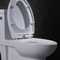 Watersense Dual Flush Siphonic One Piece Toilet Ada Silence ฝาปิดช้าลง