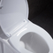 หยาบ 10 นิ้วในห้องน้ำ Ada Comfort Height สำหรับผู้พิการ Rv พร้อม Power Flush