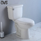 รถพยาบาลคนพิการ Ada Comfort Height Toilet 18&quot; 19 Inch Roostic Separating