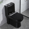 โถสุขภัณฑ์แบบยาวสีดำ One Piece 1.6 Gpf Siphon Jet Toilet Flushing Systems