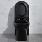โถสุขภัณฑ์แบบยาวสีดำ One Piece 1.6 Gpf Siphon Jet Toilet Flushing Systems